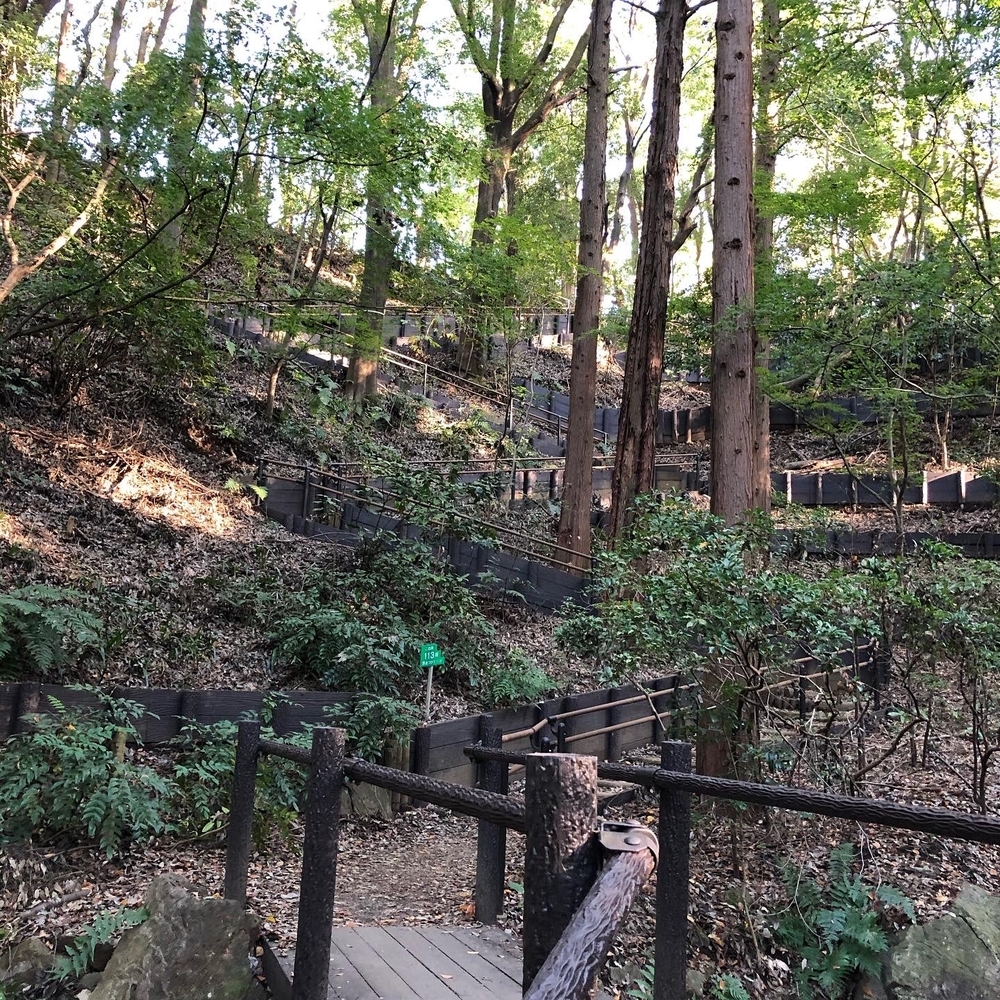 神奈川県立四季の森公園周遊コースの写真5