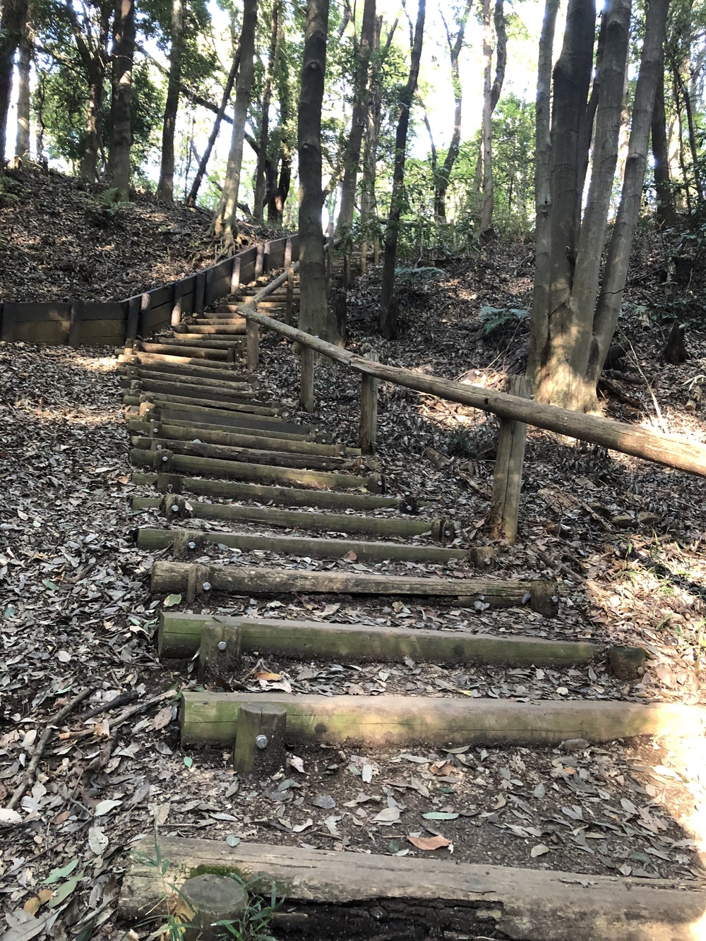 神奈川県立四季の森公園周遊コースの写真6
