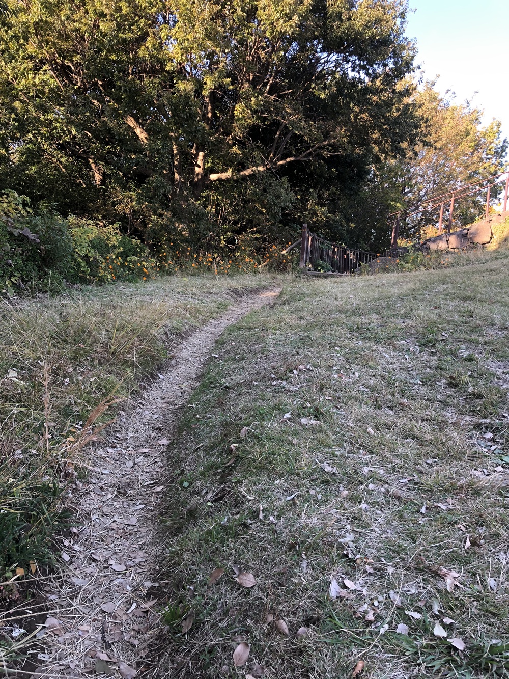 神奈川県立四季の森公園周遊コースの写真7