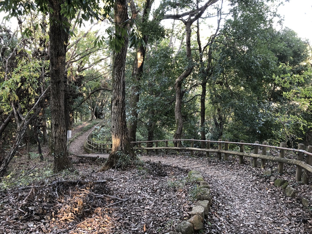 神奈川県立四季の森公園周遊コースの写真8