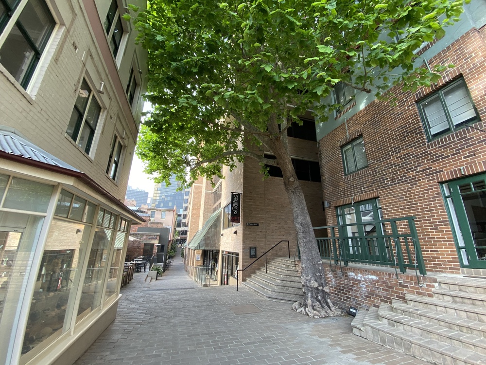 シドニーに住みたくなるコースの写真4