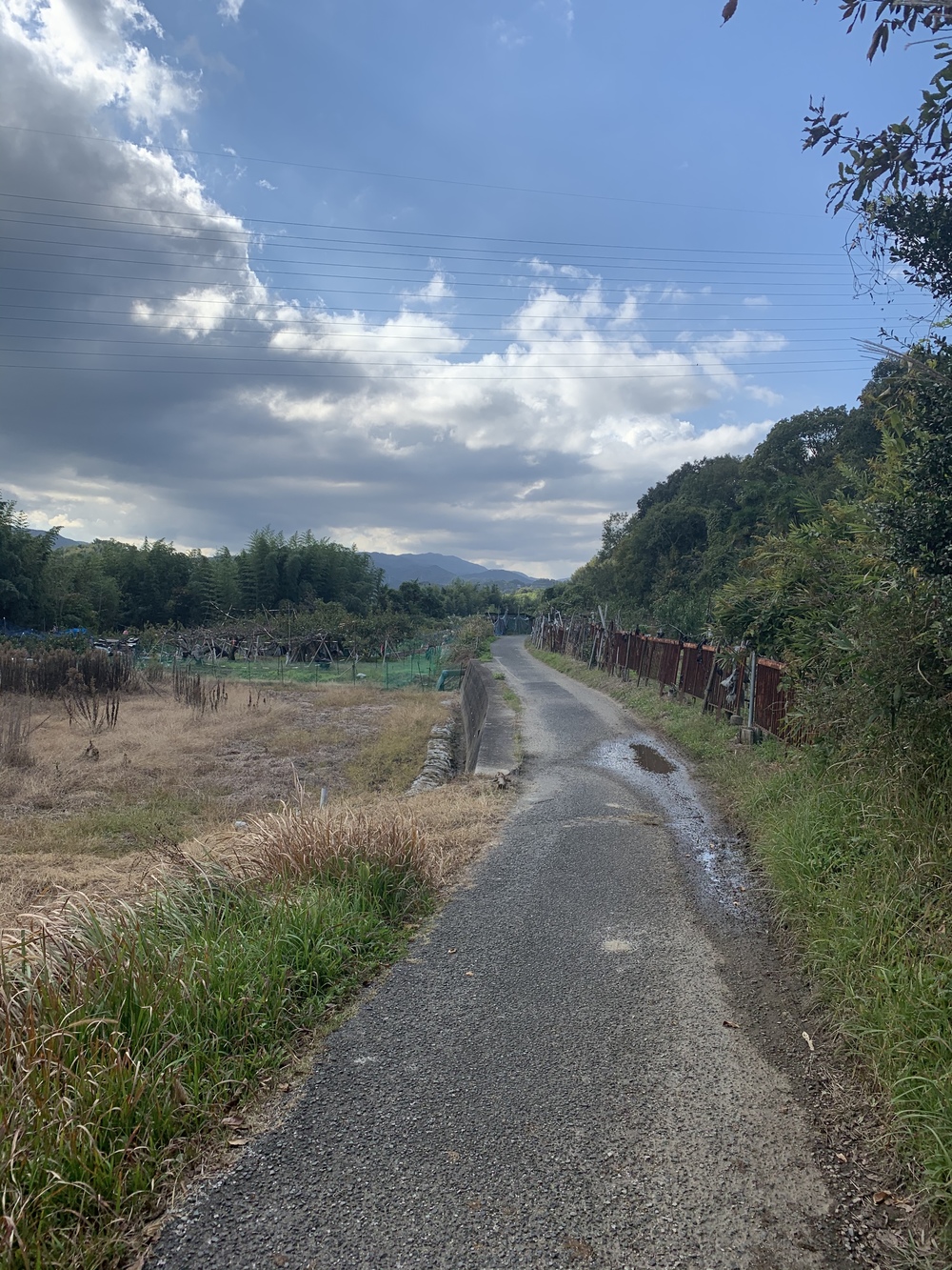 天野街道から、金剛寺、滝畑ダム　LSDの写真5