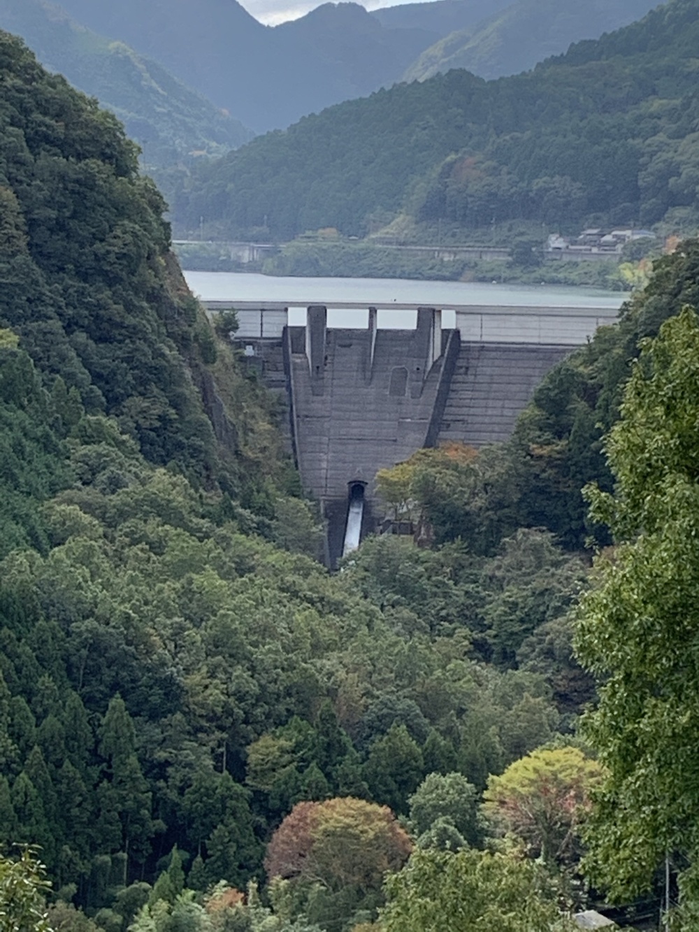 天野街道から、金剛寺、滝畑ダム　LSDの写真6