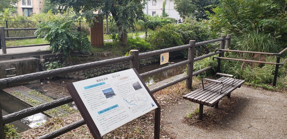 玉川上水ランの写真3