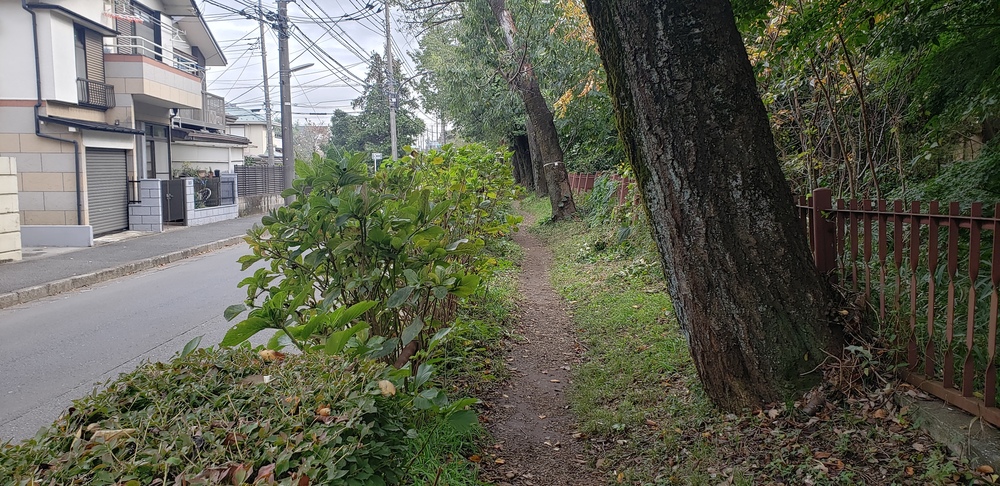 玉川上水ランの写真4