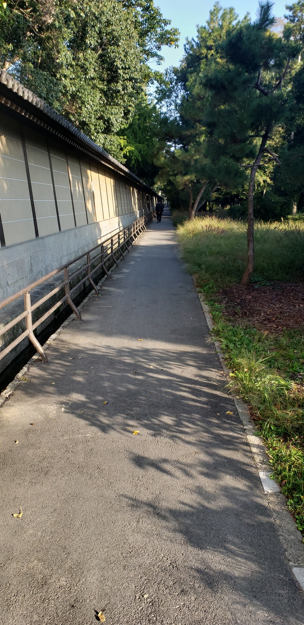 鴨川～京都御所ランニングの写真5