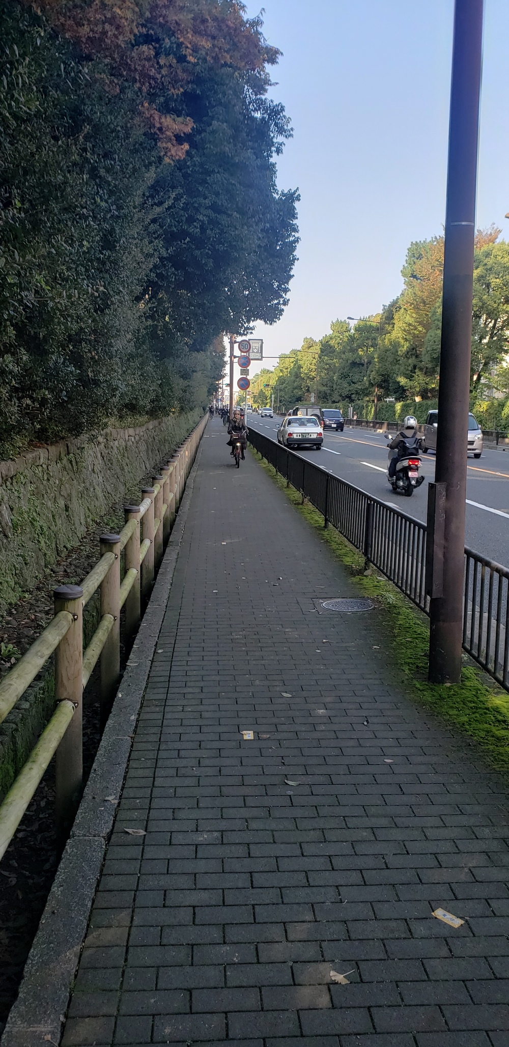 鴨川～京都御所ランニングの写真8