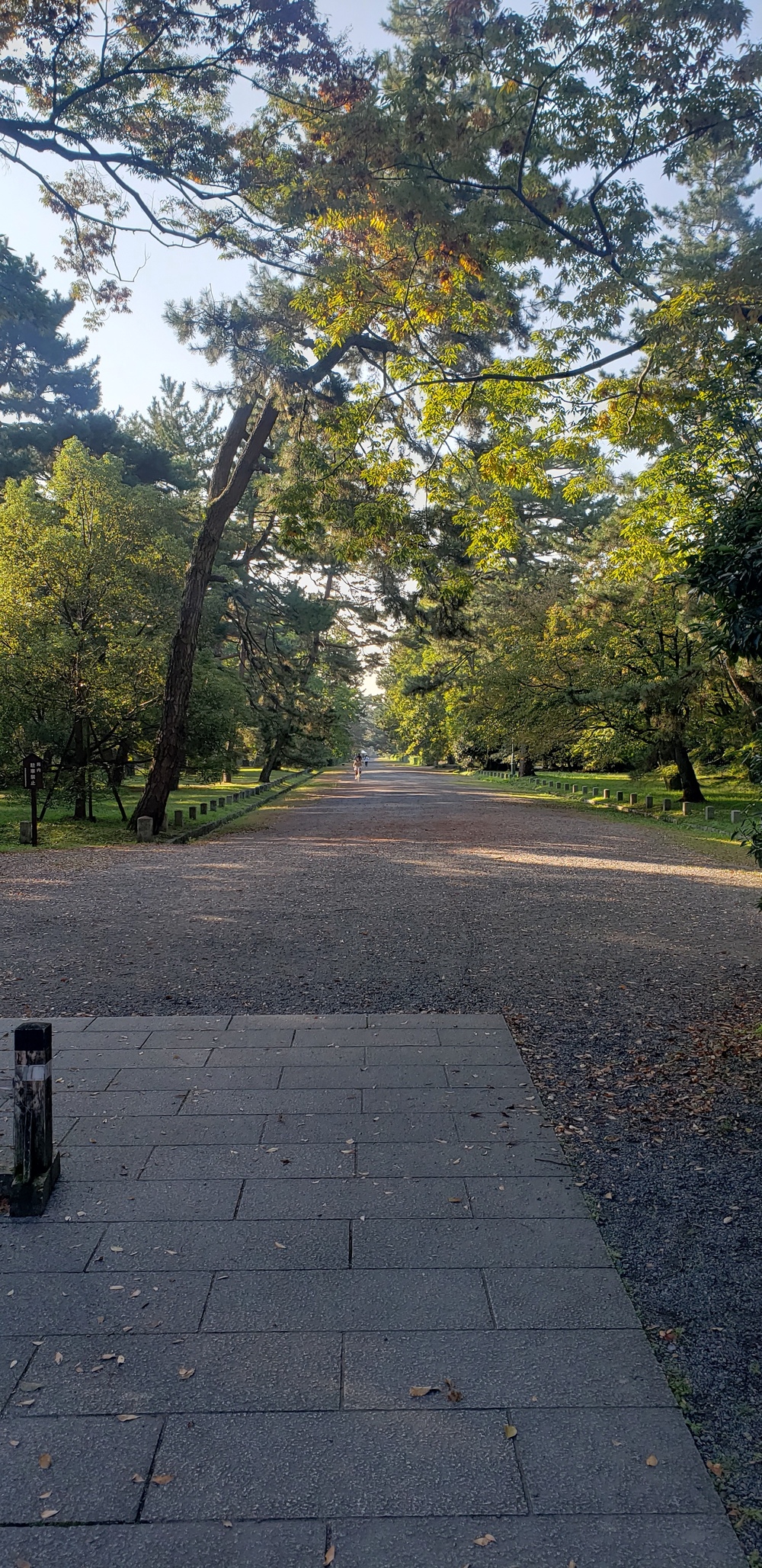 鴨川～京都御所ランニングの写真9