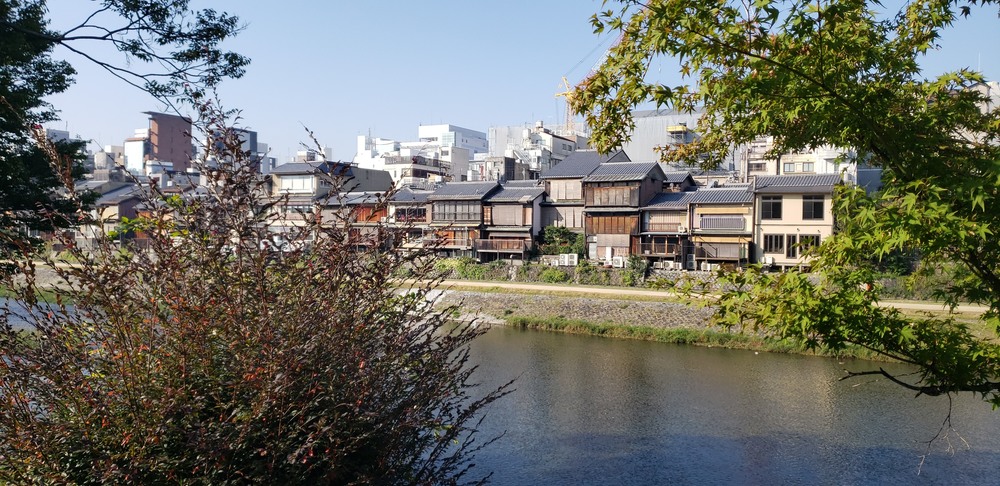 鴨川～京都御所ランニングの写真15