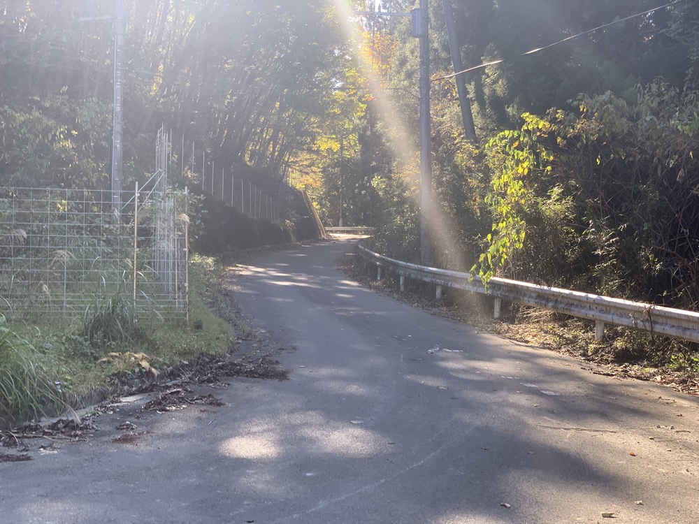 草津の道中にちょっとランして温泉への写真3