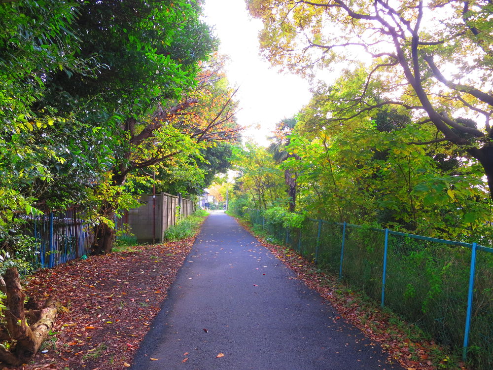スカイツリーに向かう道（妙典→スカイツリー）の写真3