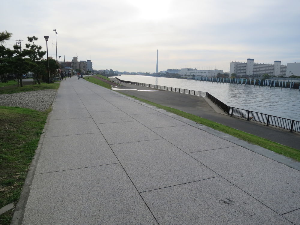 スカイツリーに向かう道（妙典→スカイツリー）の写真4