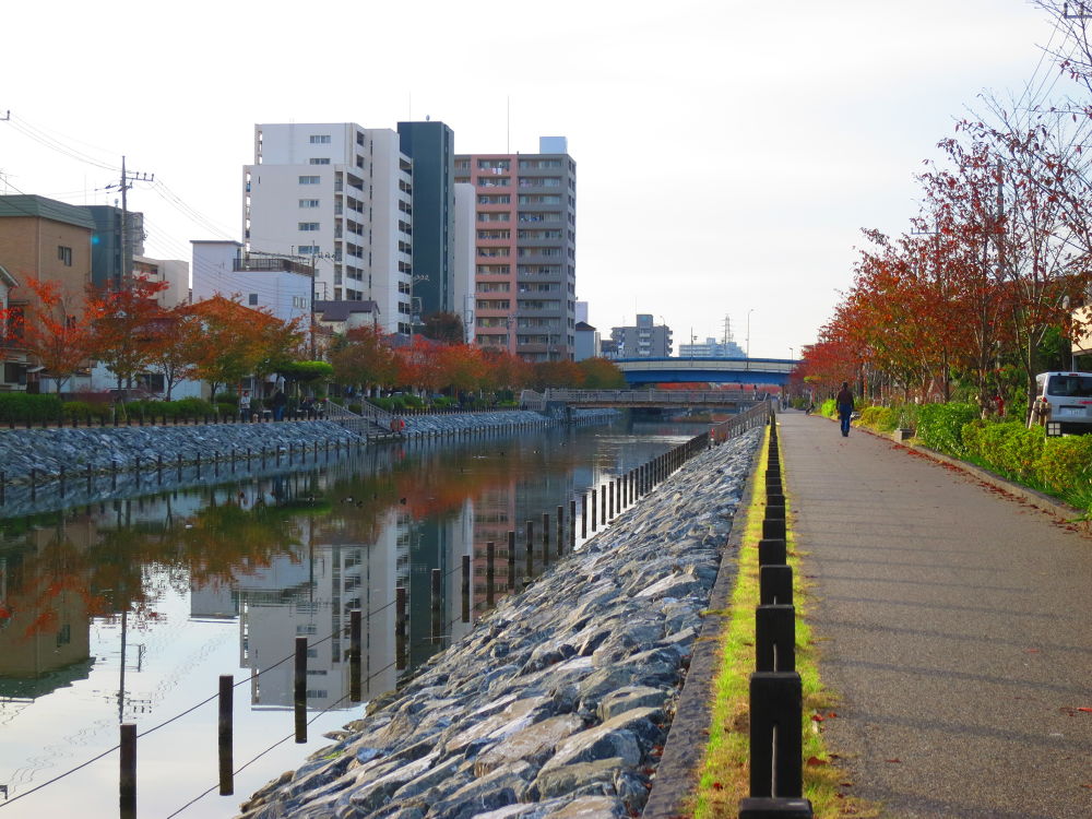 スカイツリーに向かう道（妙典→スカイツリー）の写真10
