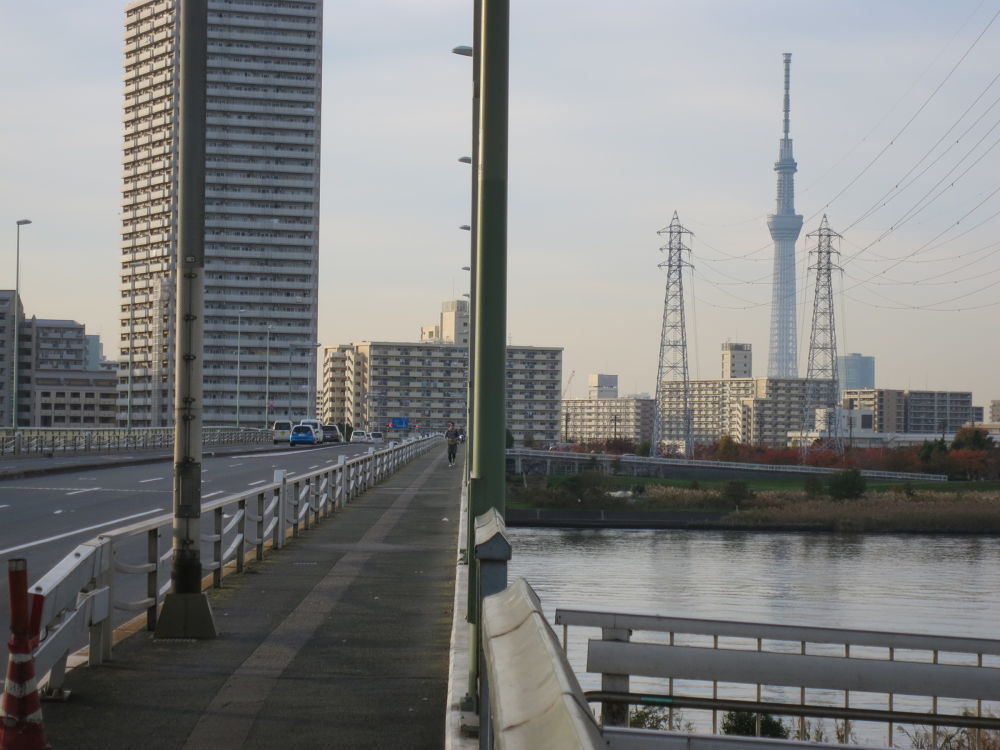 スカイツリーに向かう道（妙典→スカイツリー）の写真17