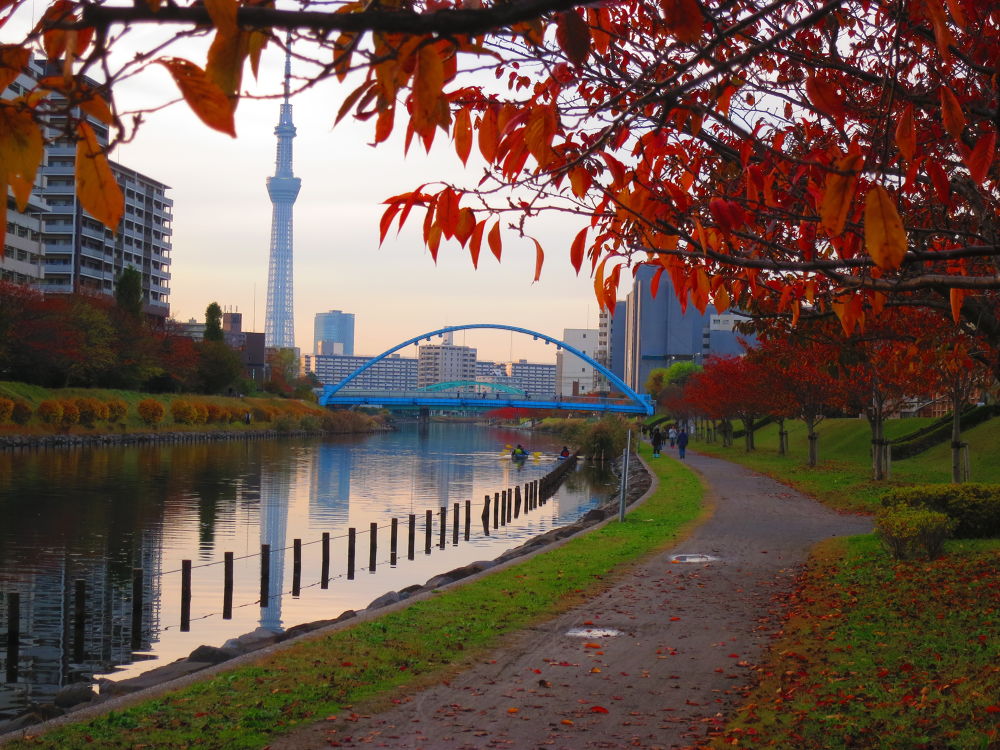 スカイツリーに向かう道（妙典→スカイツリー）の写真19
