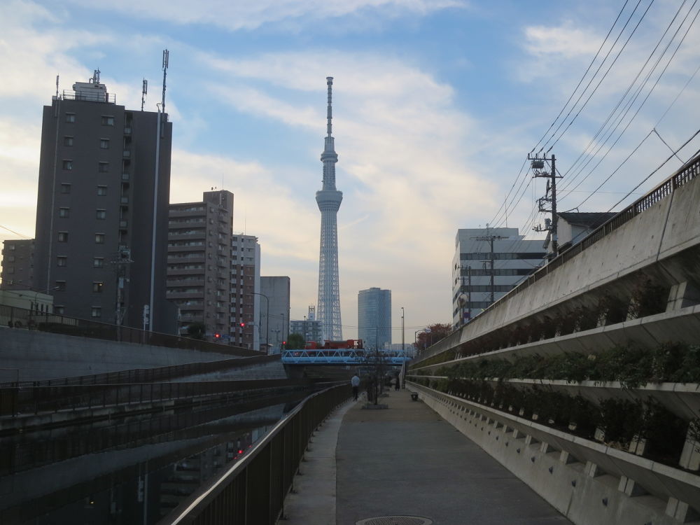 スカイツリーに向かう道（妙典→スカイツリー）の写真21