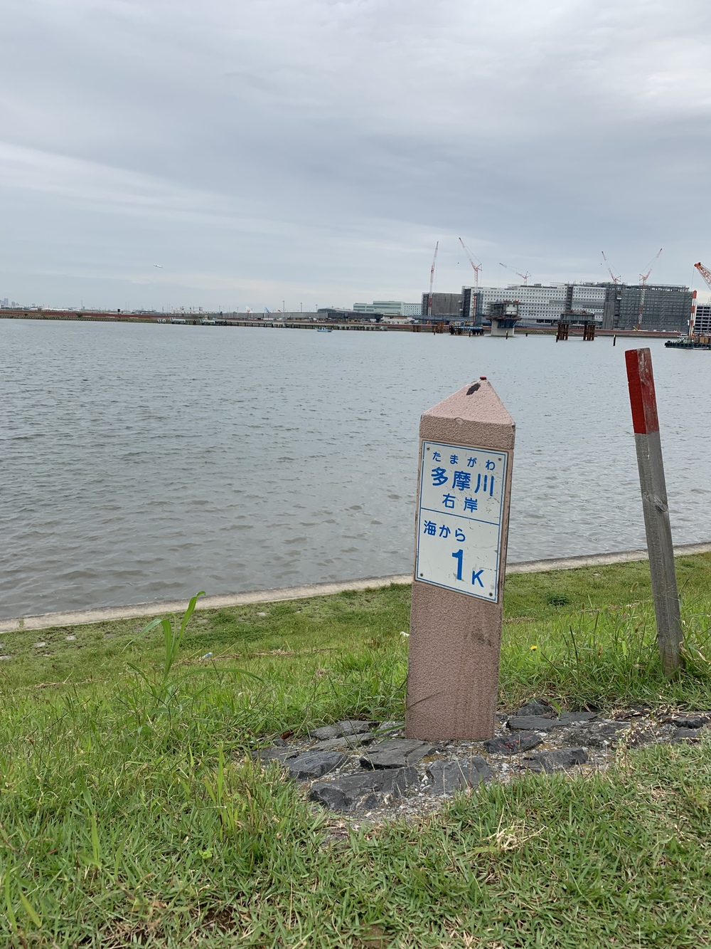 川崎駅から多摩川河口の羽田空港まで、出張朝ランの写真4