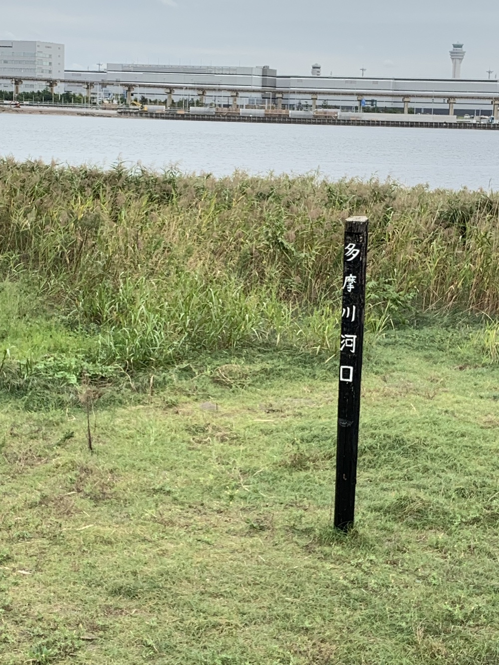 川崎駅から多摩川河口の羽田空港まで、出張朝ランの写真6