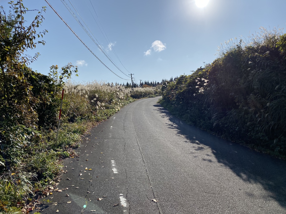 牛岳トレイルの写真3