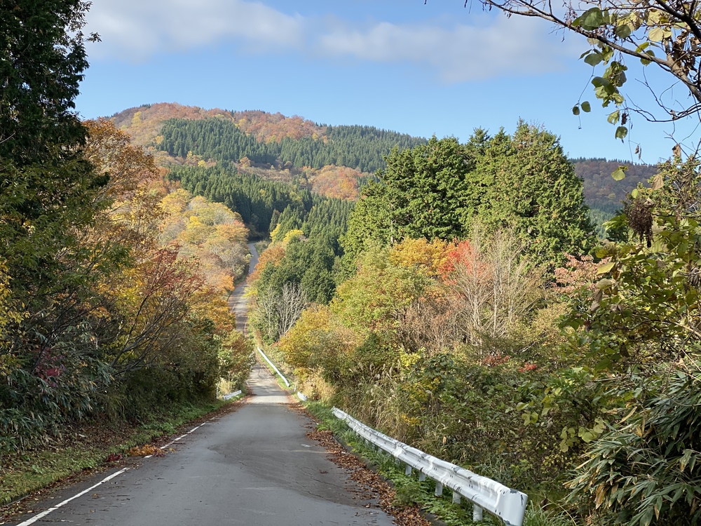 牛岳トレイルの写真6