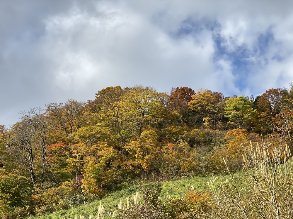牛岳トレイルの写真7