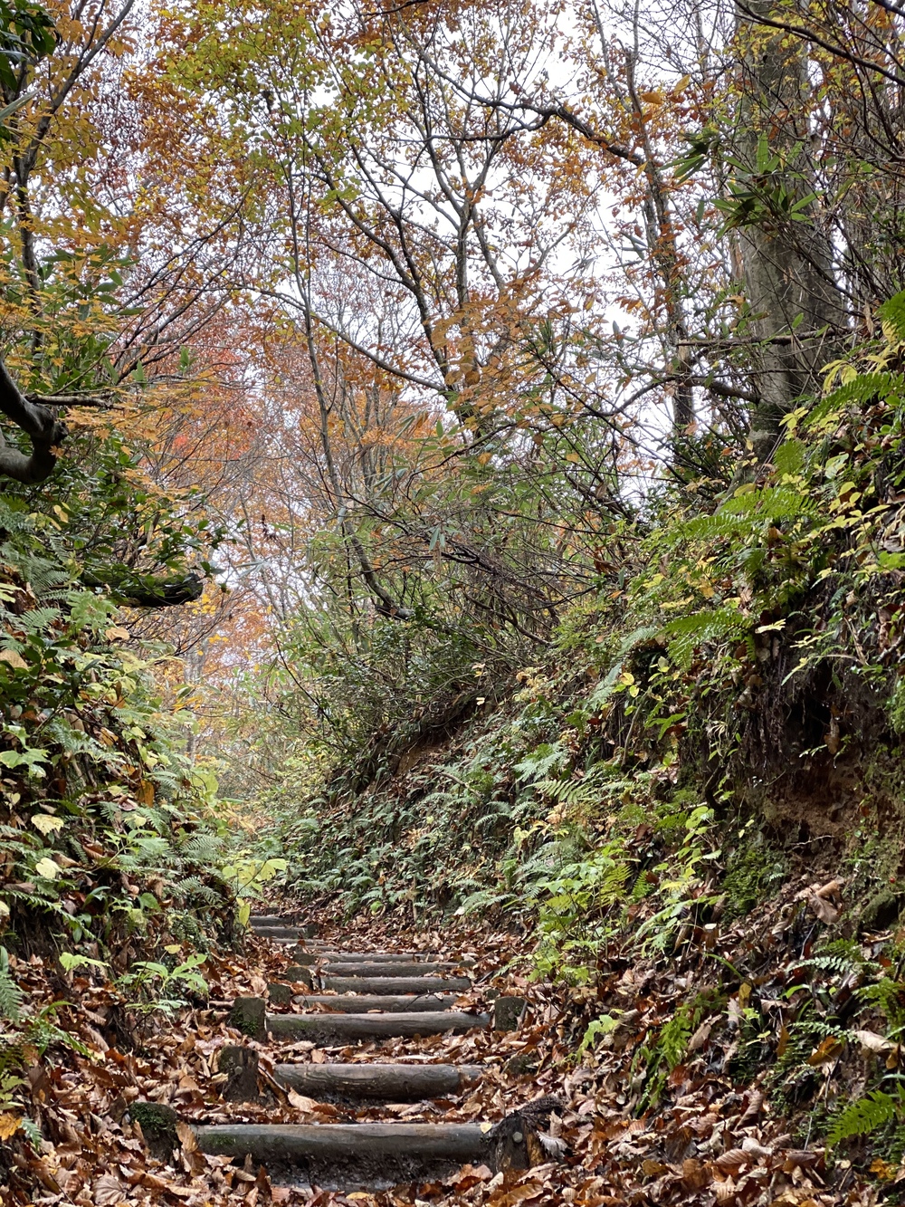 牛岳トレイルの写真9