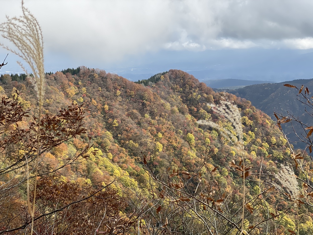 牛岳トレイルの写真13