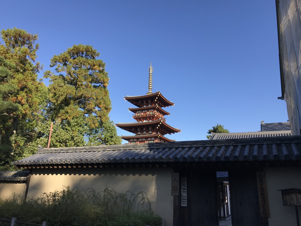 奈良ランPart３、西ノ京から平城宮跡への写真7