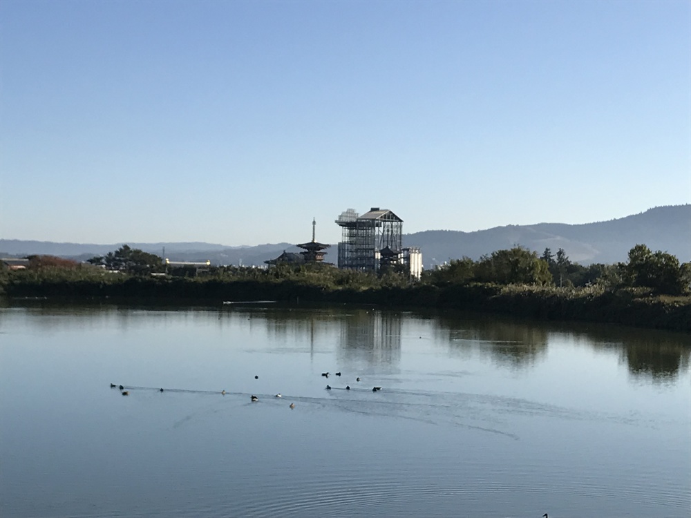 奈良ランPart３、西ノ京から平城宮跡への写真9