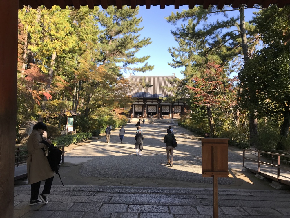 奈良ランPart３、西ノ京から平城宮跡への写真11