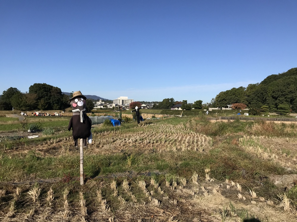 奈良ランPart３、西ノ京から平城宮跡への写真12