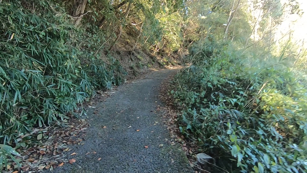 生駒山麓公園を巡るプチトレランの写真3