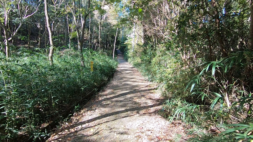 生駒山麓公園を巡るプチトレランの写真4