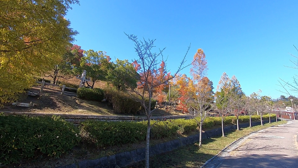 生駒山麓公園を巡るプチトレランの写真7