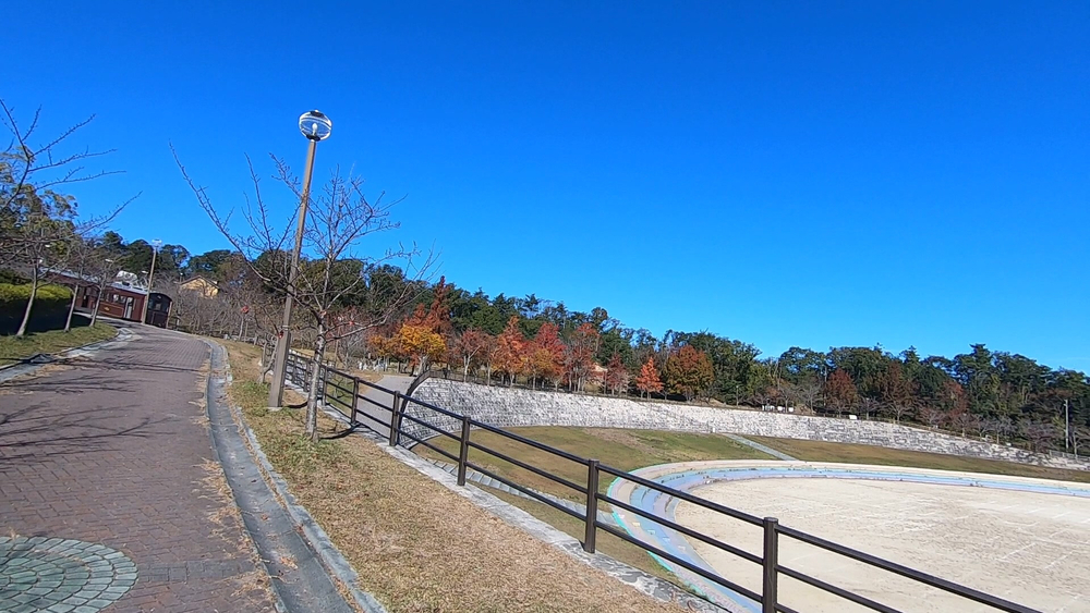 生駒山麓公園を巡るプチトレランの写真8