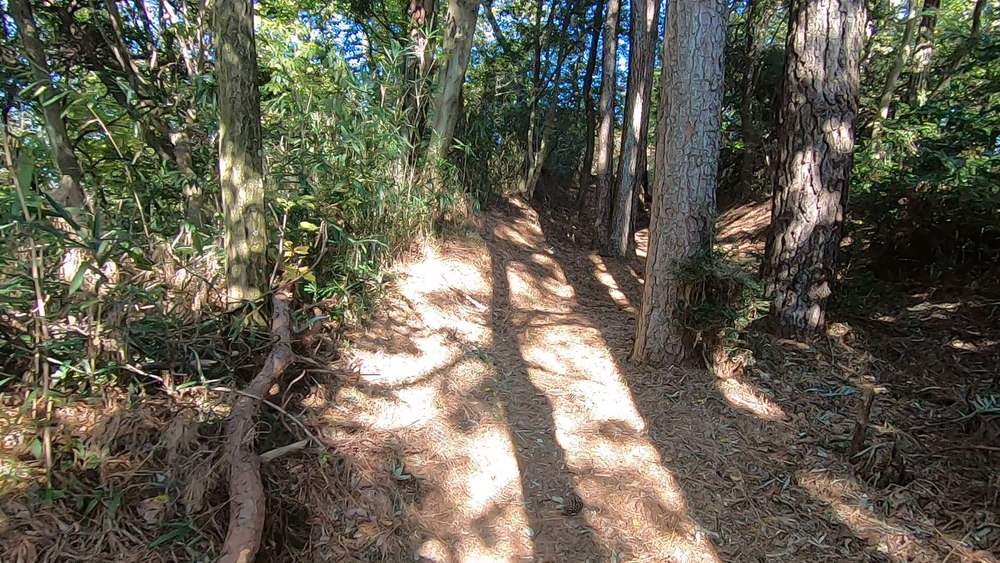 生駒山麓公園を巡るプチトレランの写真13