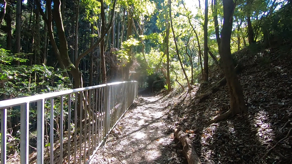 生駒山麓公園を巡るプチトレランの写真14