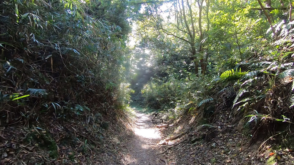 生駒山麓公園を巡るプチトレランの写真16