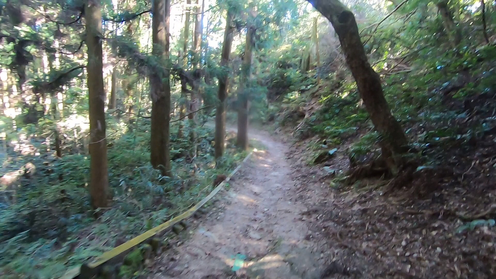 生駒山麓公園を巡るプチトレランの写真18