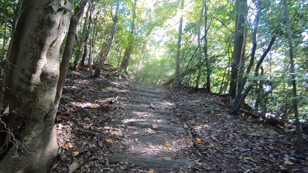 生駒山麓公園を巡るプチトレランの写真19