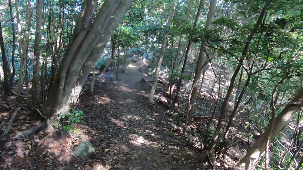 生駒山麓公園を巡るプチトレランの写真21