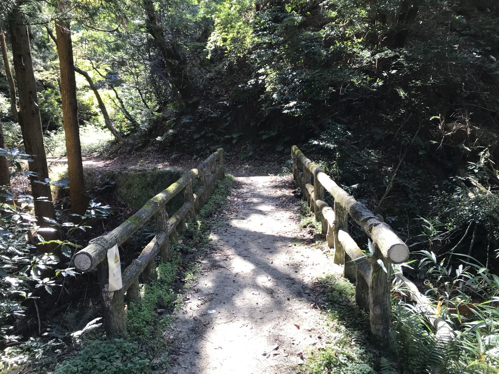 生駒山麓公園を巡るプチトレランの写真22