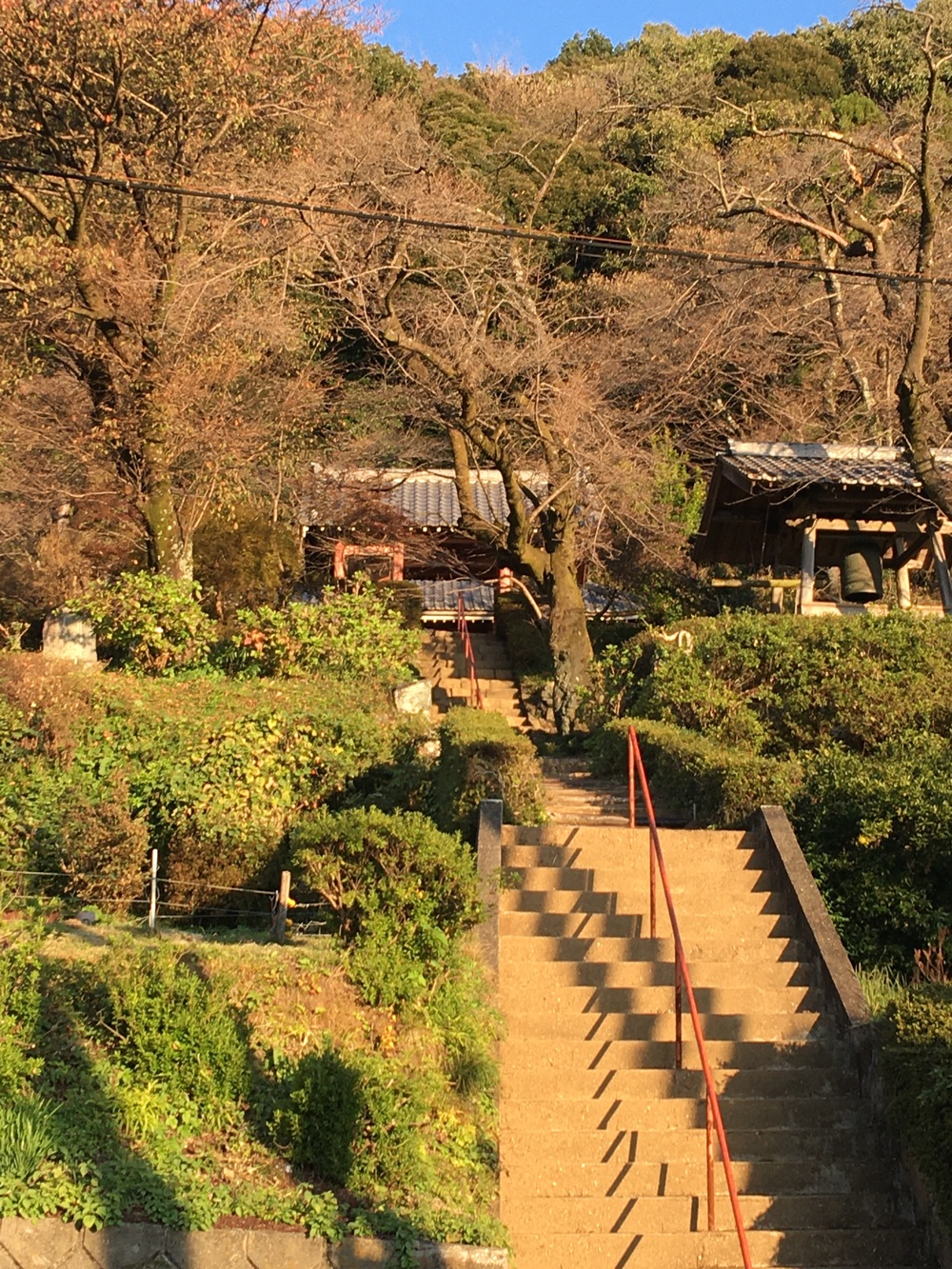 越生ぐるぐるの写真3