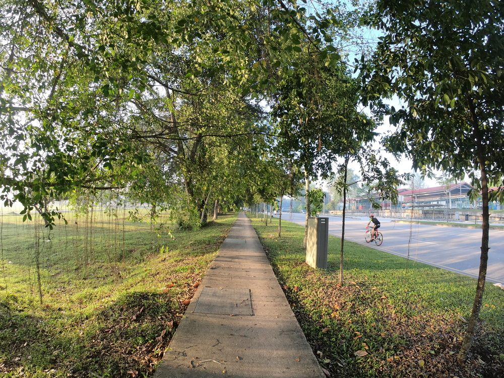 シンガポール取り囲みランパート５の写真5