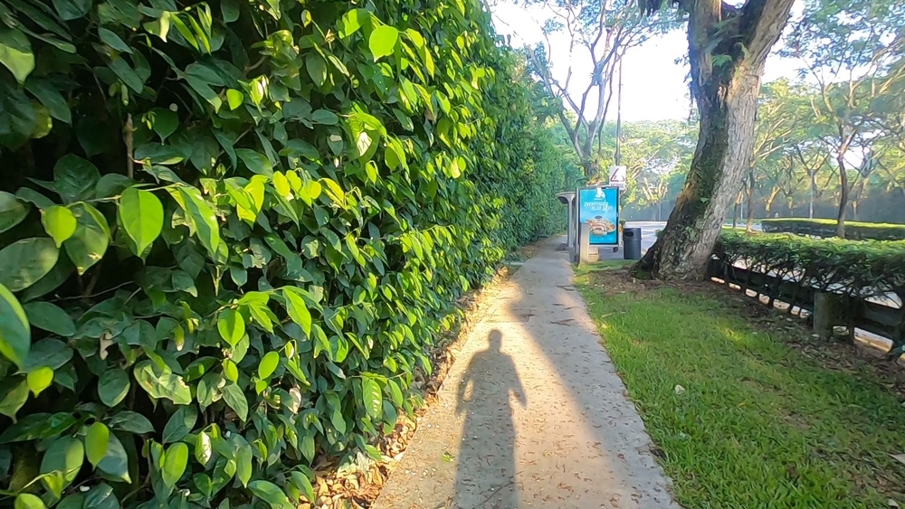 シンガポール取り囲みランパート５の写真7