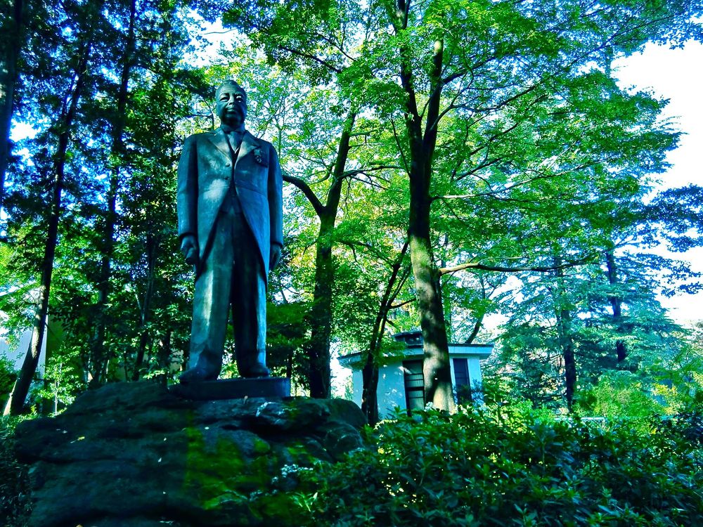 四季の彩りを感じられる善福寺公園の写真7