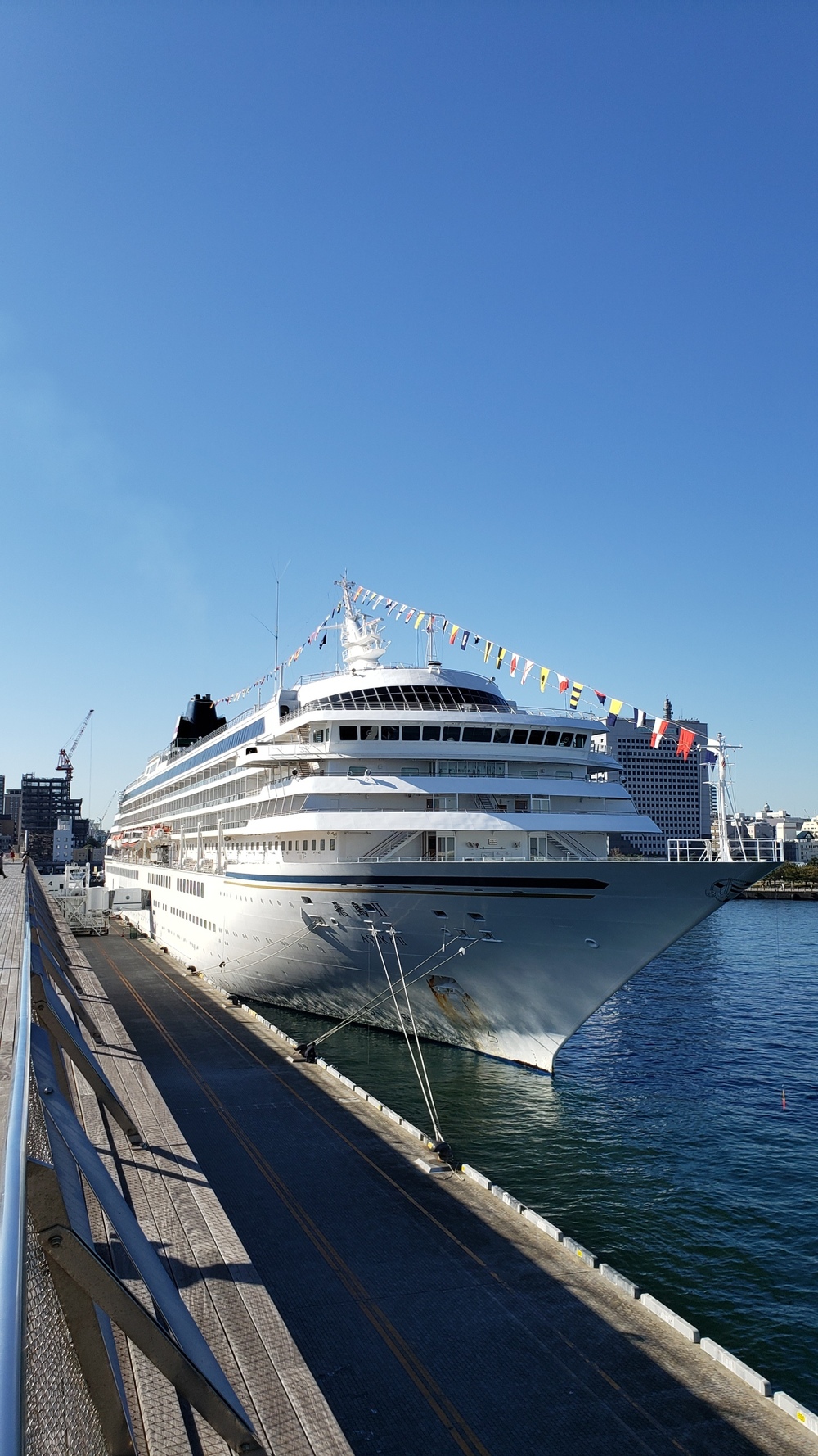 横浜タウンジョグの写真4