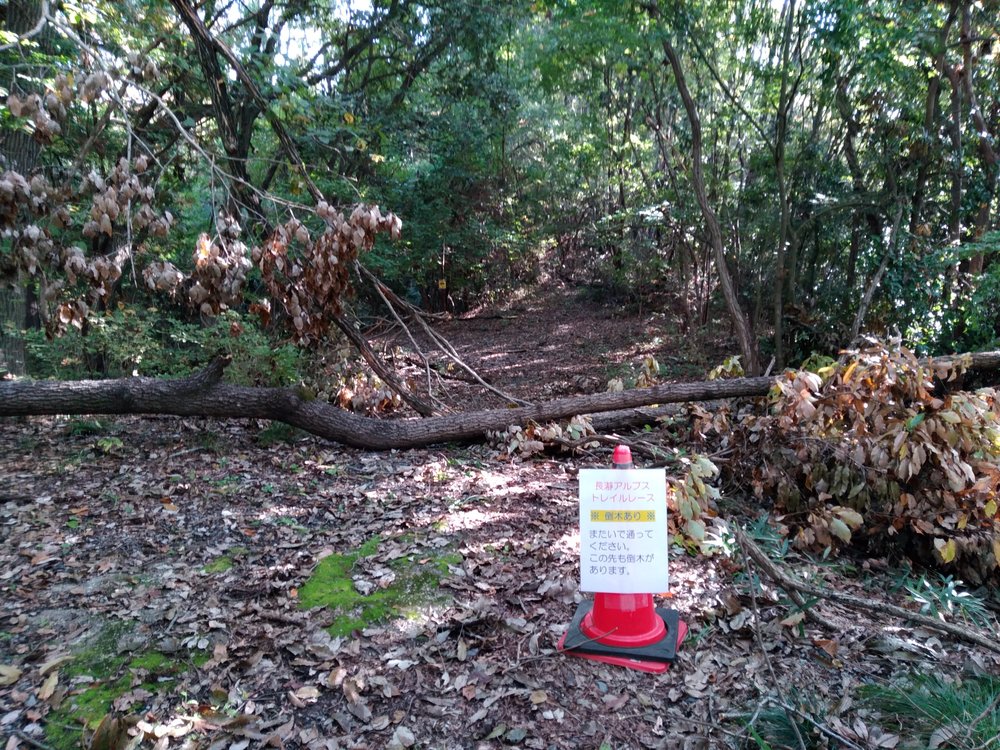 宝登山頂からの絶景を堪能、長瀞アルプストレイルレースコースの写真4