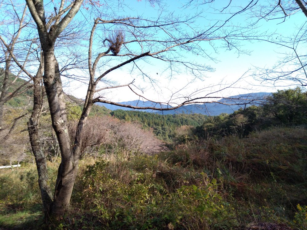 宝登山頂からの絶景を堪能、長瀞アルプストレイルレースコースの写真5