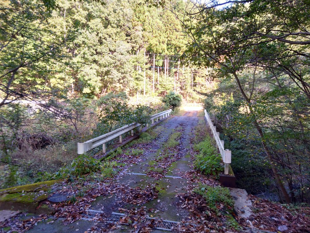 宝登山頂からの絶景を堪能、長瀞アルプストレイルレースコースの写真6